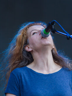 Neko Case, 2014