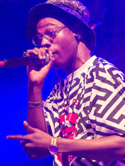 Joey Badass, 2014