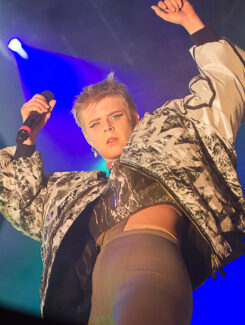 Robyn, 2014