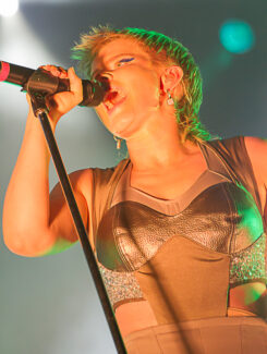 Robyn, 2014