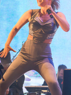 Robyn, 2014