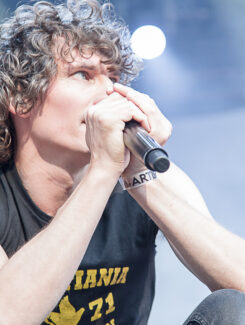 Håkan Hellström, 2013
