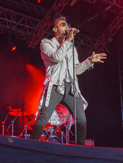 Miguel, 2013