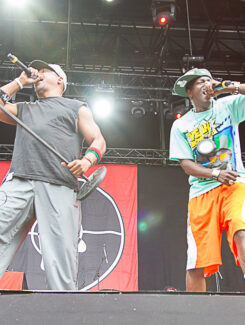 Public Enemy, 2013