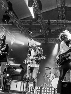 The Royal Concept, 2012