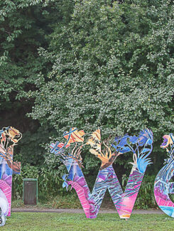 Way out West 2013