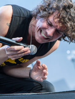 Håkan Hellström, 2013