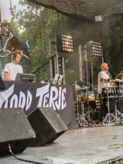 Todd Terje & The Olsens, 2015