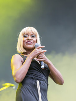 Chic, Nile Rodgers, 2015