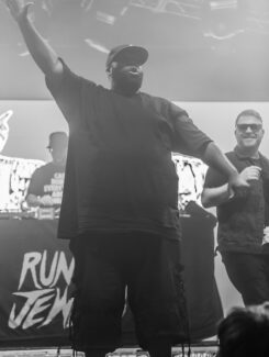 Run The Jewels, 2015