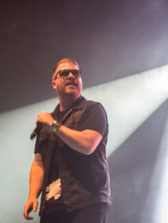Run The Jewels, 2015