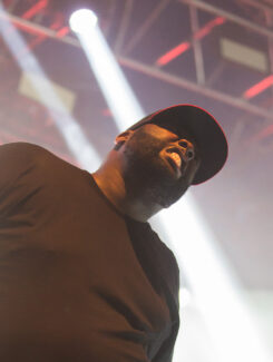 Run The Jewels, 2015