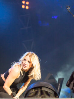 Ellie Goulding, 2015