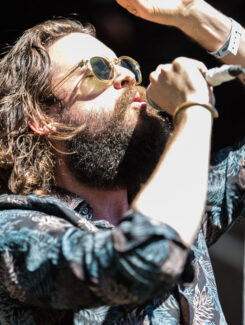 Father John Misty, 2015