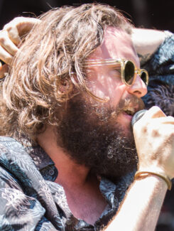 Father John Misty, 2015