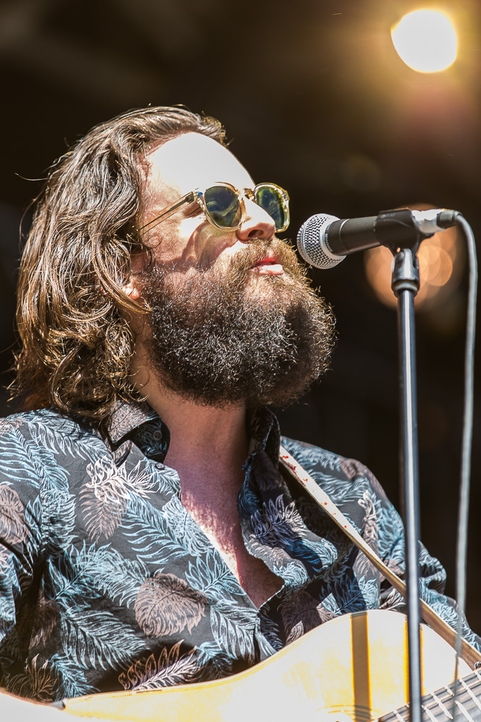 Father John Misty, 2015