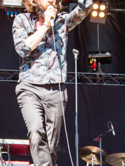 Father John Misty, 2015