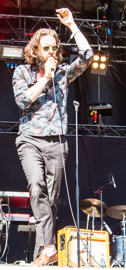 Father John Misty, 2015