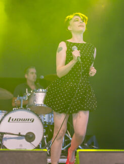 The Julie Ruin, 2015