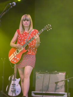 The Julie Ruin, 2015