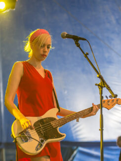 The Julie Ruin, 2015
