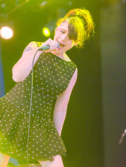 The Julie Ruin, 2015