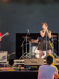 The Julie Ruin, 2015