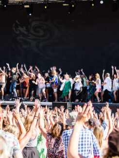 Crowd pleasers, 2015