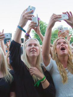 Crowd pleasers, 2015