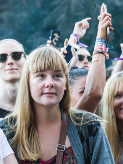 Crowd pleasers, 2015