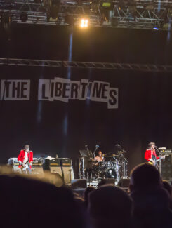The Libertines, 2016