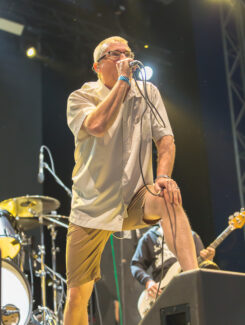 Descendents, 2016