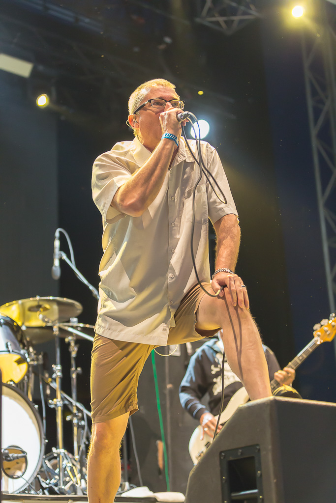 Descendents, 2016