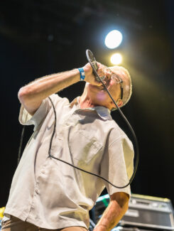 Descendents, 2016