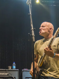 Descendents, 2016