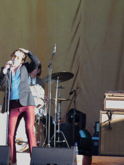The Last Shadow Puppets, 2016