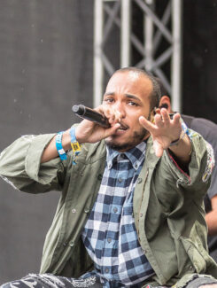 Anderson.Paak, 2016