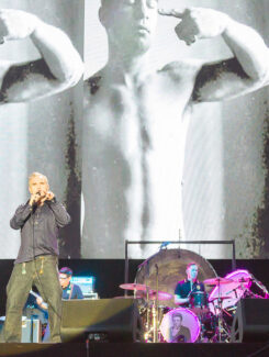 Morrissey, 2016