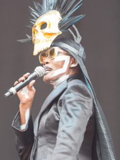 Grace Jones, 2016