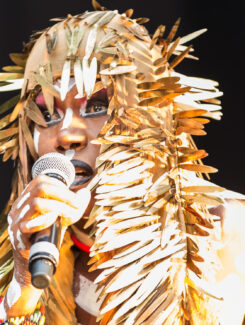 Grace Jones, 2016