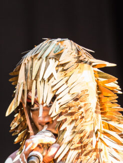 Grace Jones, 2016