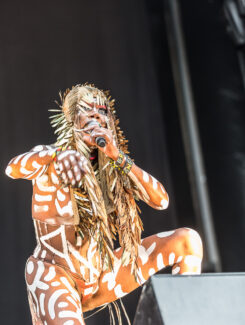 Grace Jones, 2016