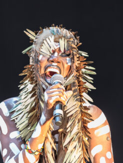 Grace Jones, 2016
