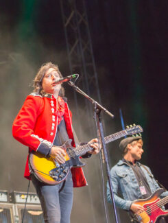 The Libertines, 2016