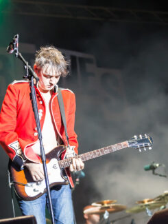 The Libertines, 2016