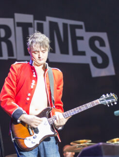 The Libertines, 2016