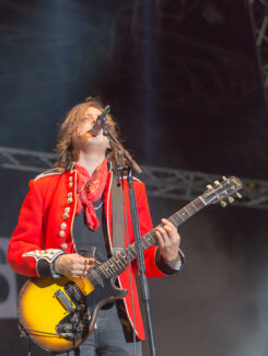 The Libertines, 2016