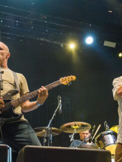 Descendents, 2016
