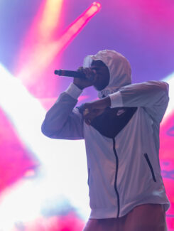 Skepta, 2016